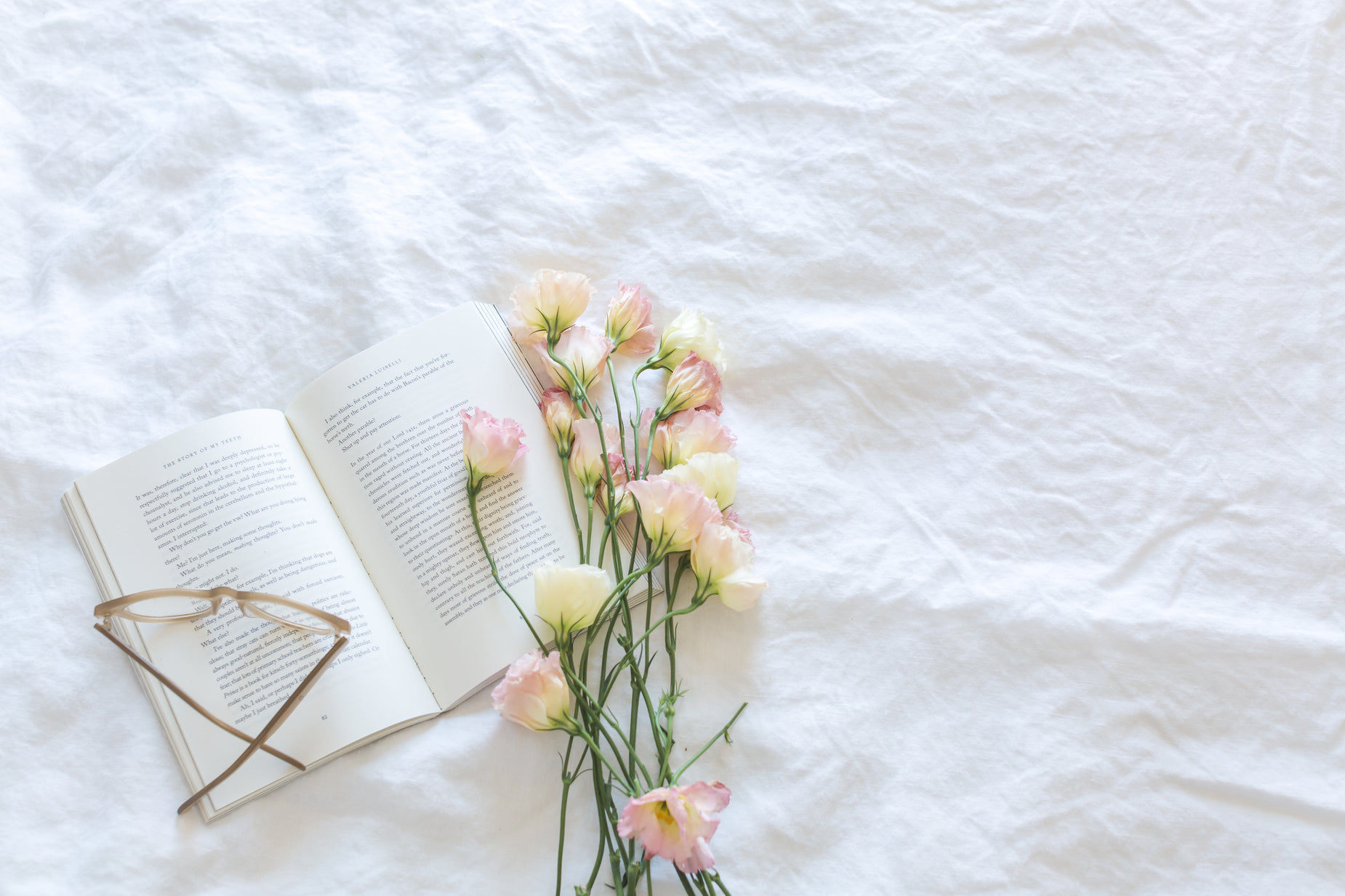 pink roses and a book on a white sheet