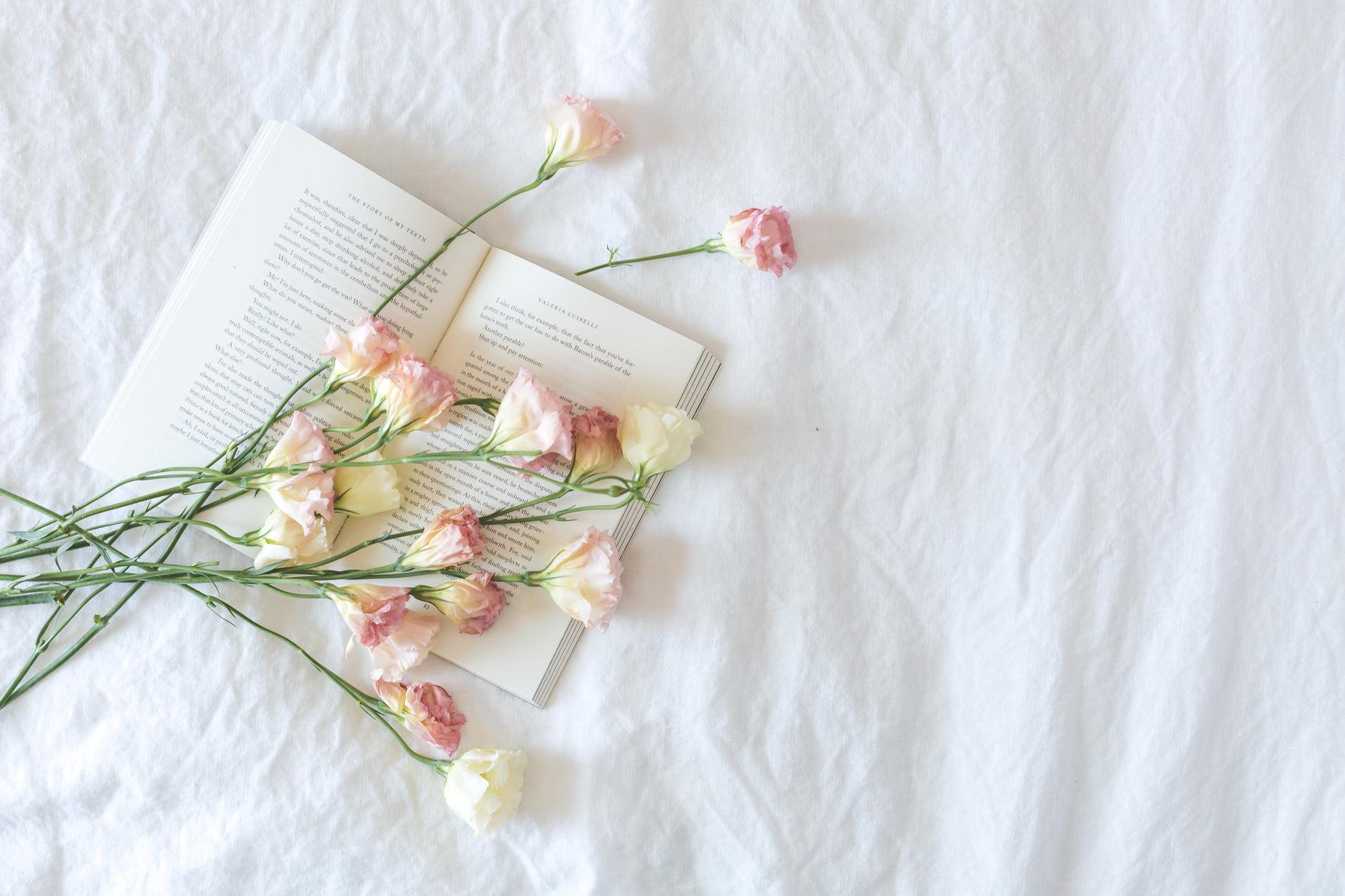 white and pink flowers are laying on a bed