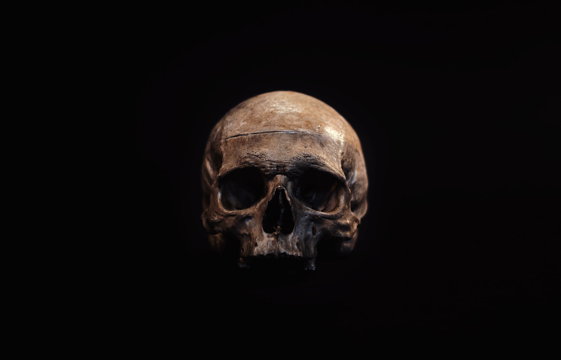 a human skull on a black background