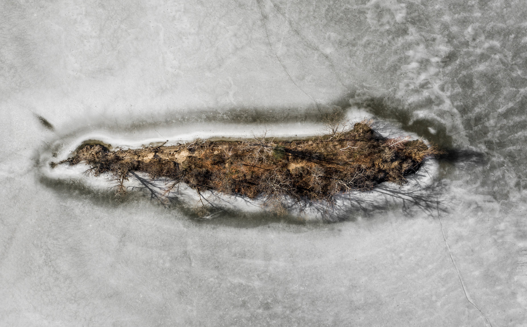 a view from above of an insect den in water