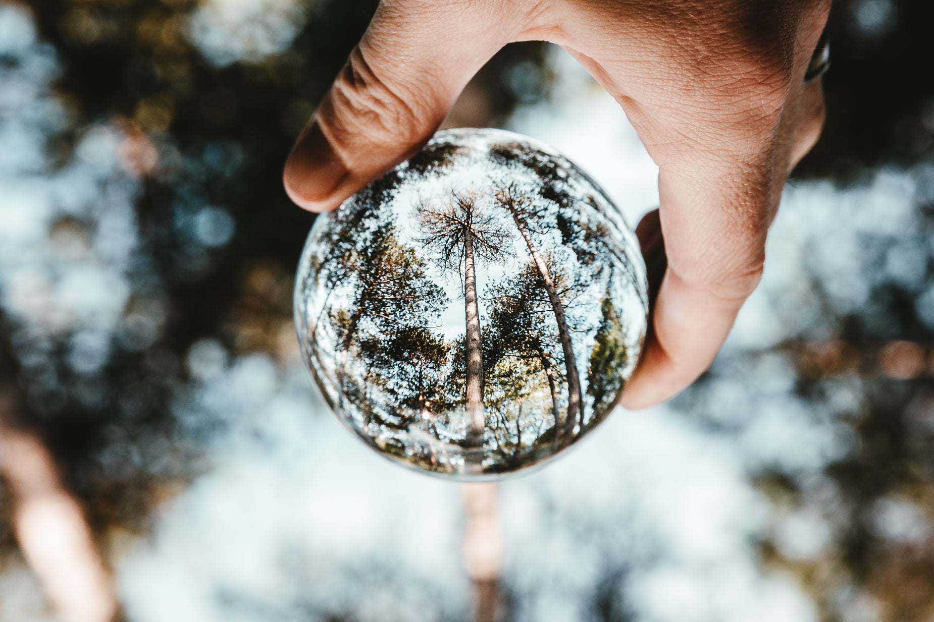 a person holding up a snow covered plastic ball