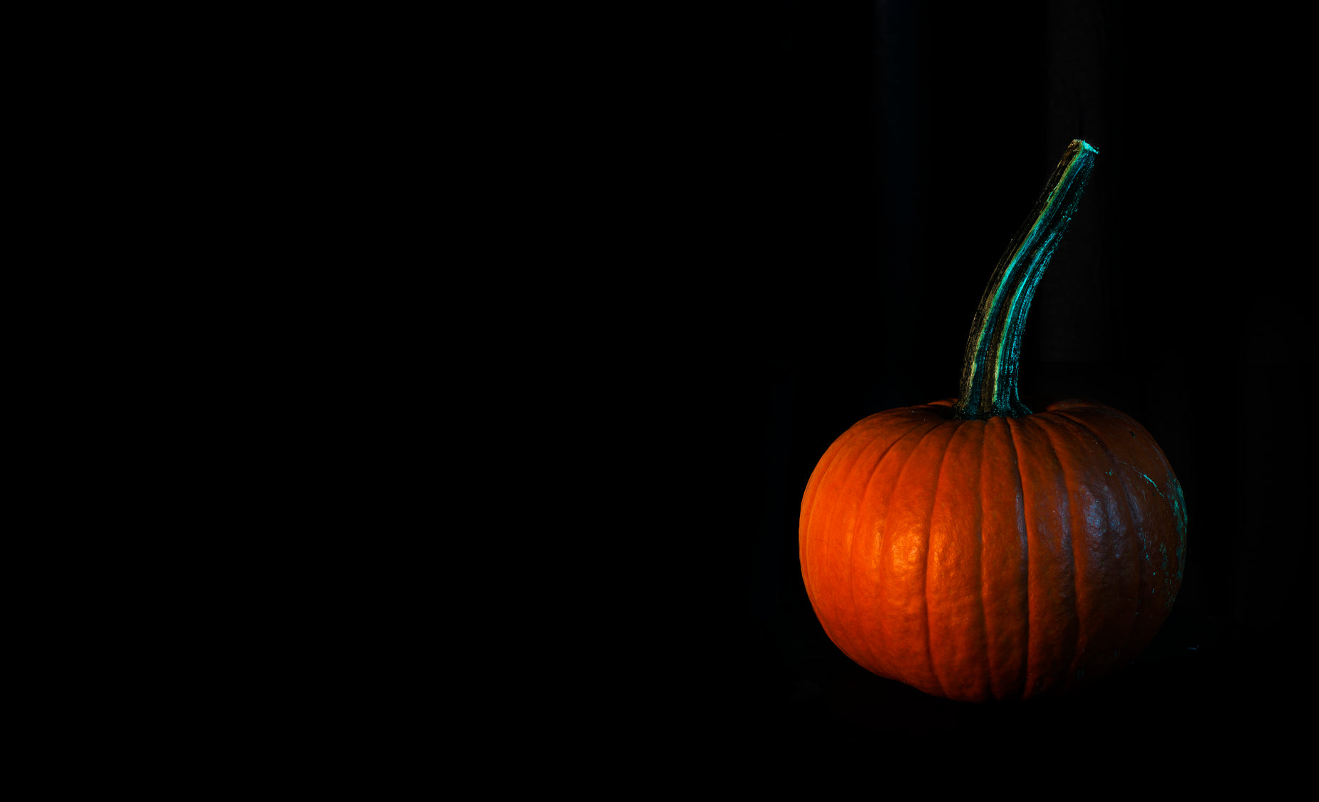 a dark po of a pumpkin with a small stem