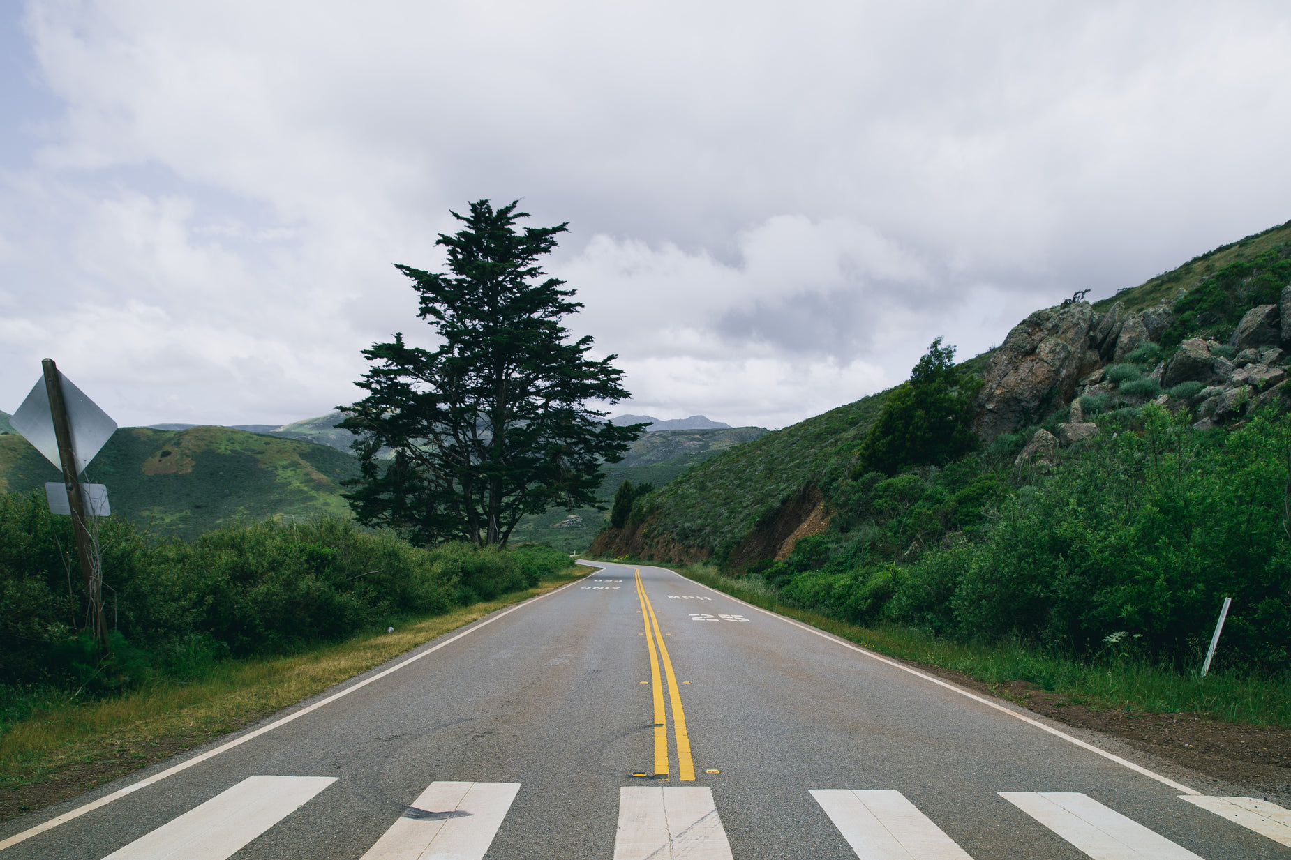 a view of a road with two white lines painted on it