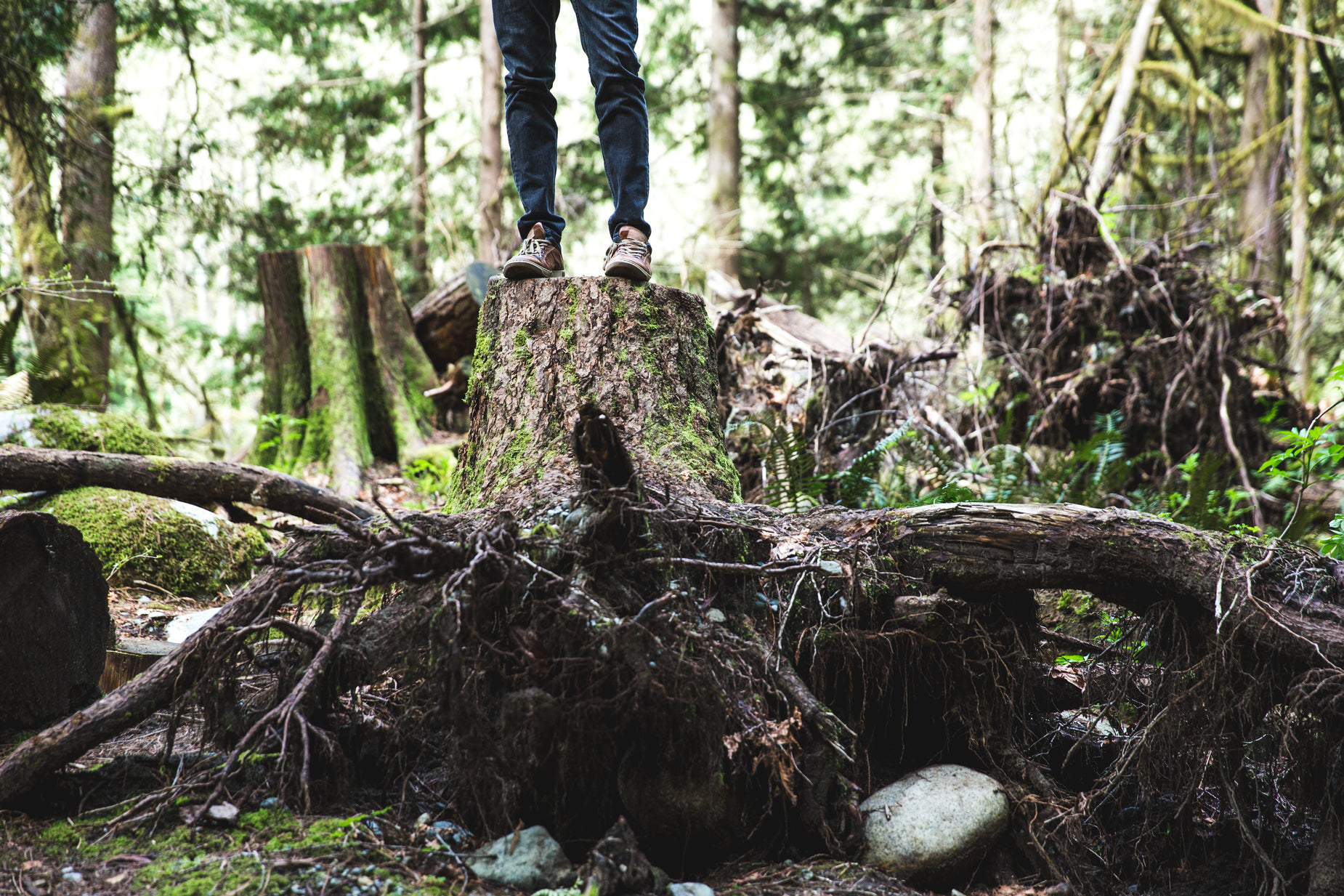 a man standing on top of a fallen log in the woods