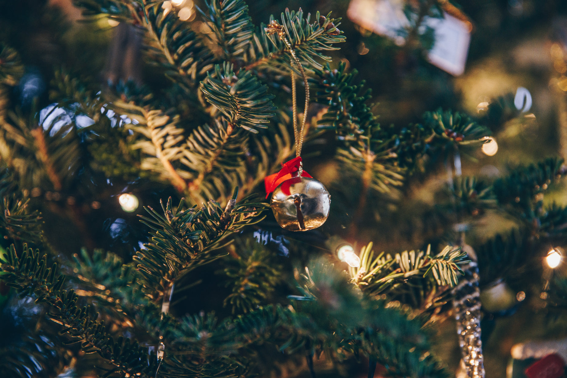 close up of ornaments hanging from a christmas tree