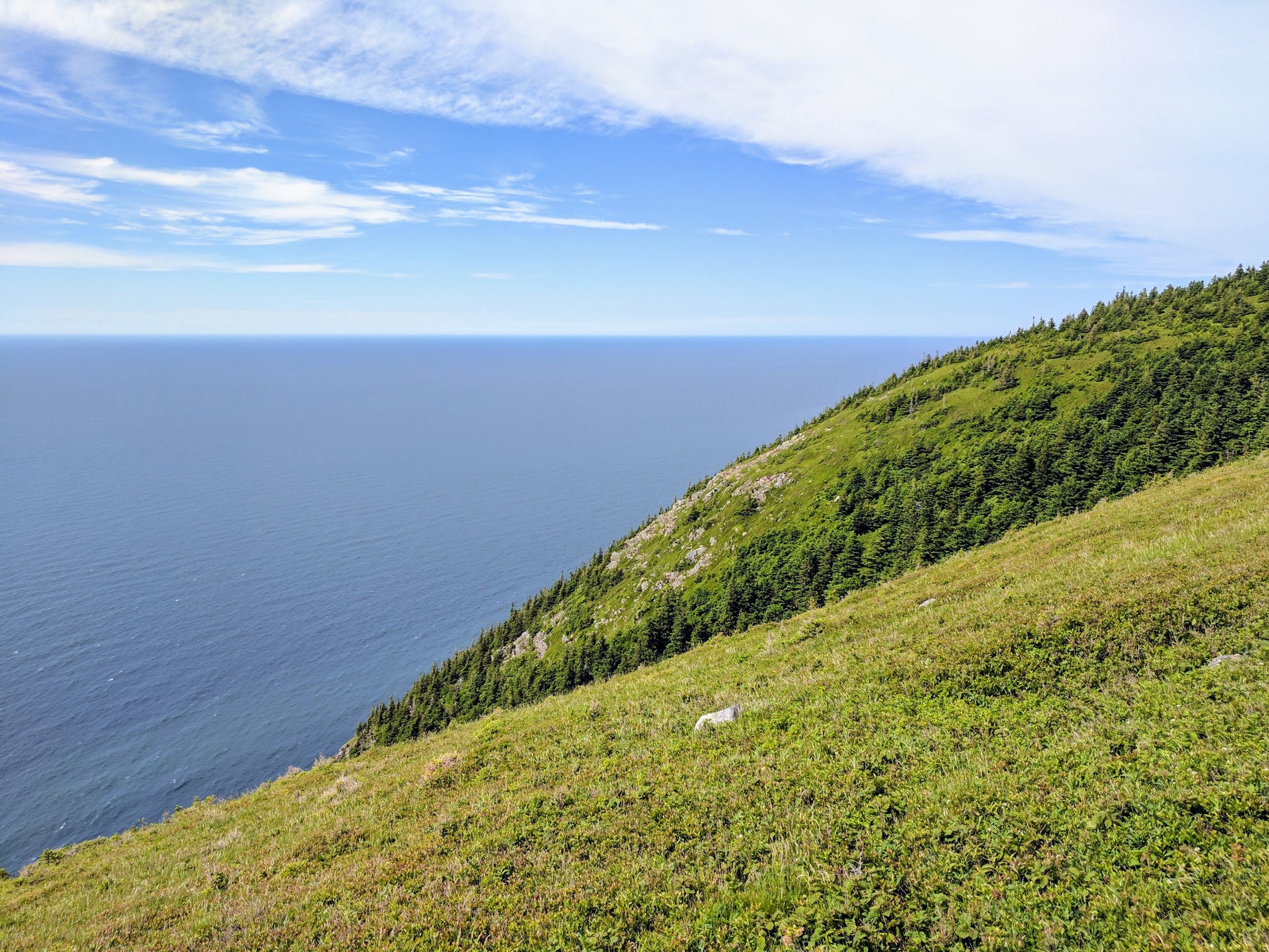 a person riding a mountain bike along a lush green hillside