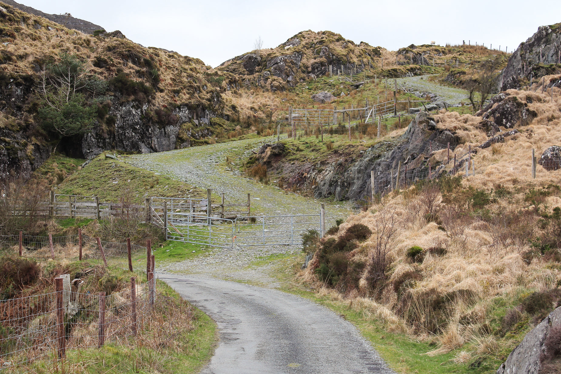 a gravel road that has a wooden fence on it