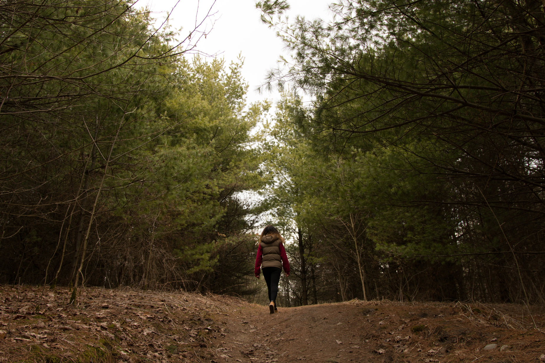 a person is walking on a path in the woods