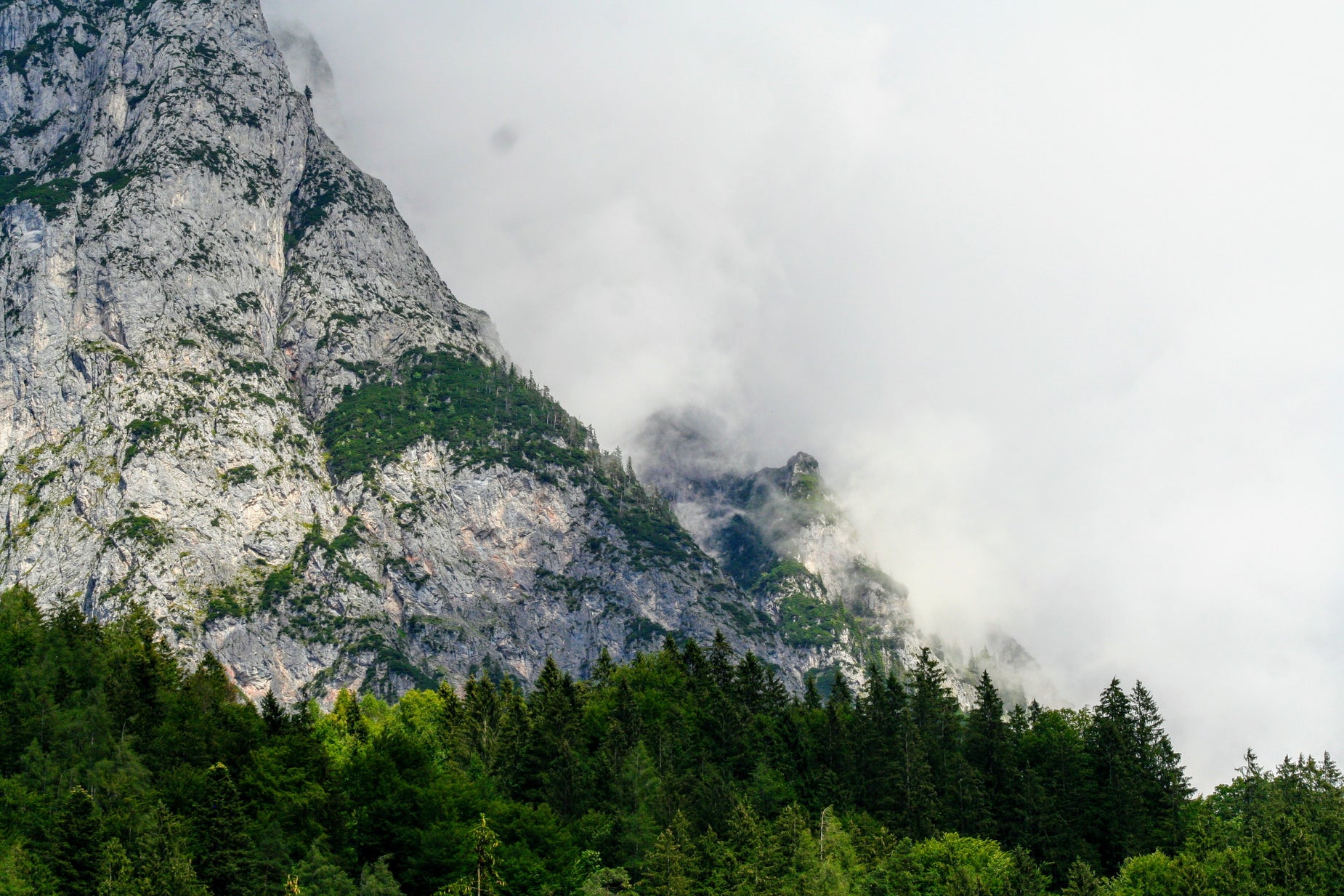 the mountains covered in trees are shrouded with clouds