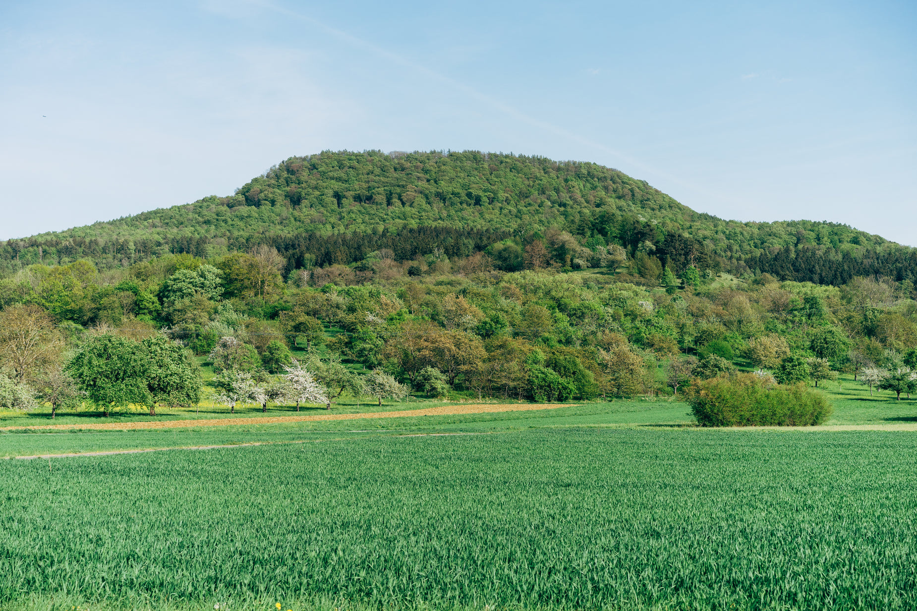 a beautiful grassy hill overlooks a vast green valley