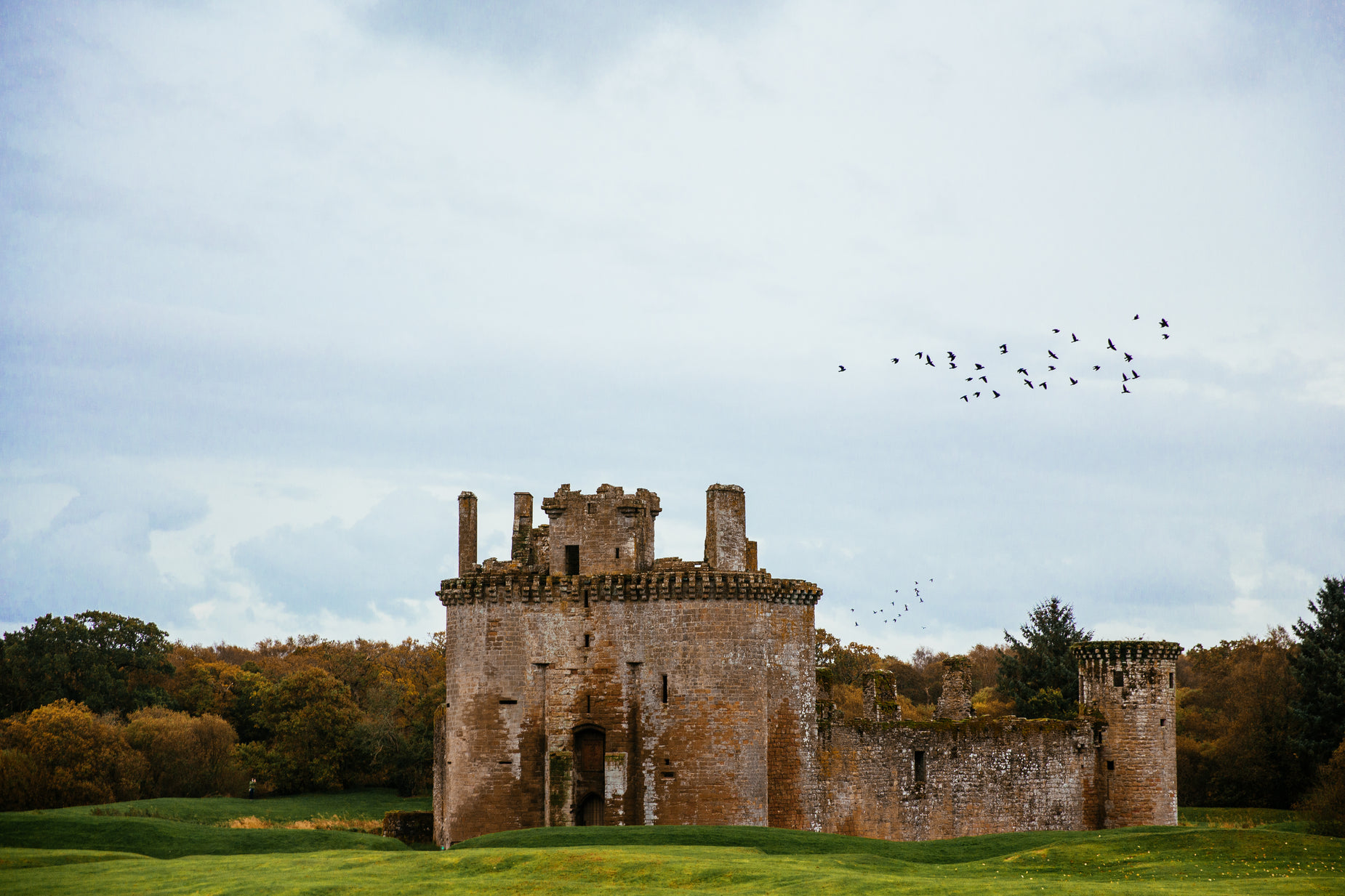 a bird flying in the air over a tall castle
