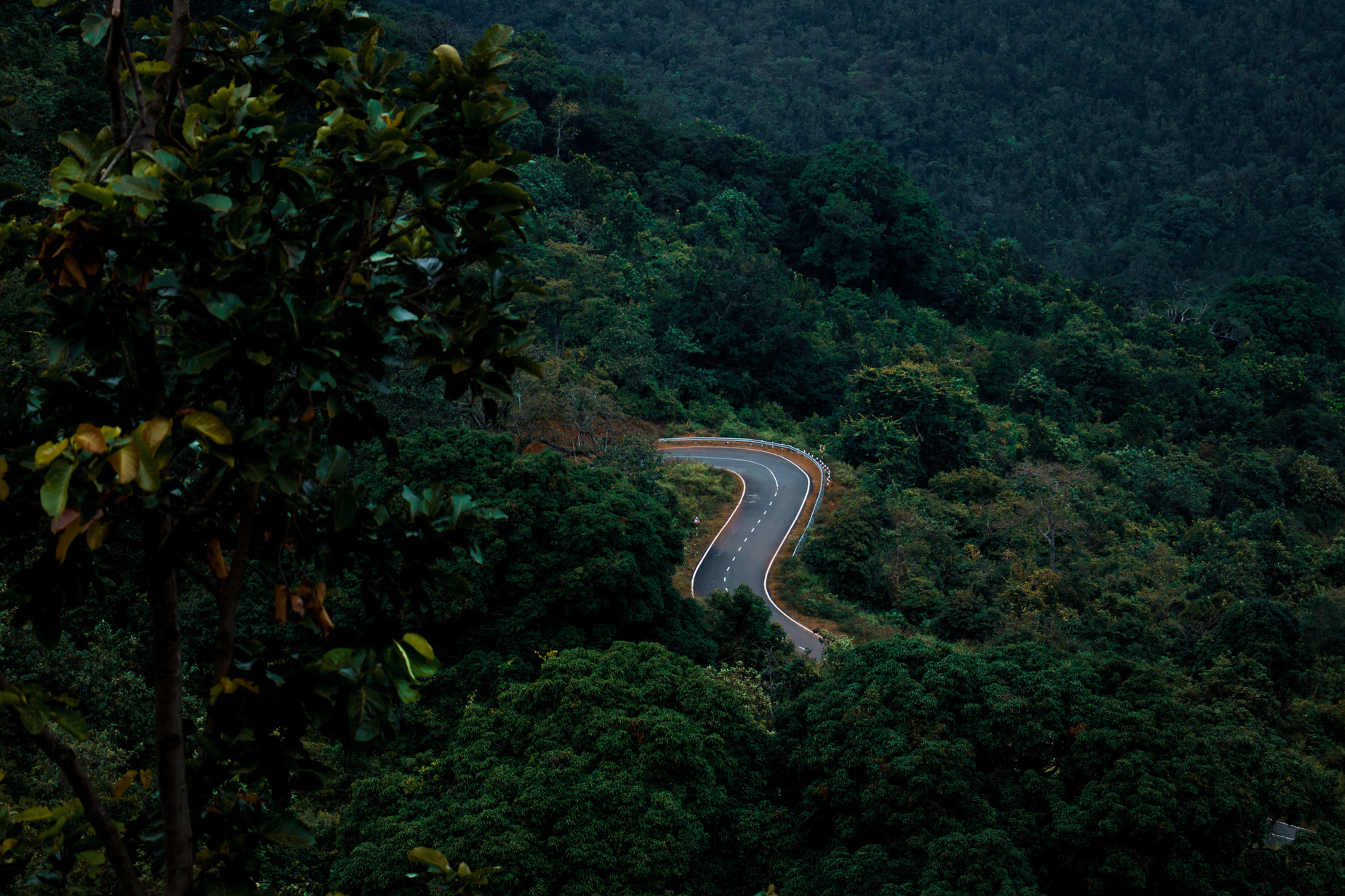 a winding road with trees and mountains in the background