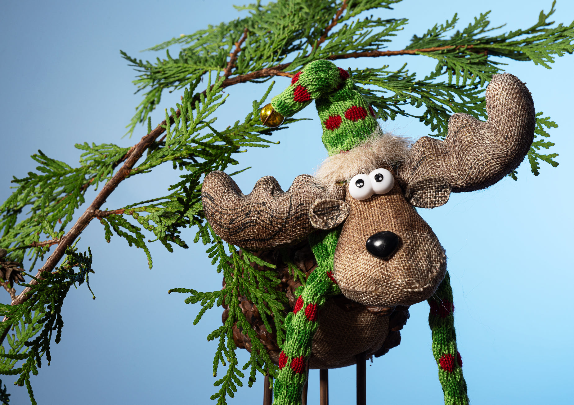 a stuffed elephant is hanging from a tree