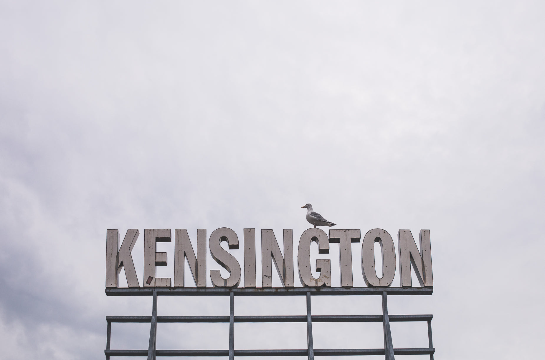 a bird is sitting on top of a sign