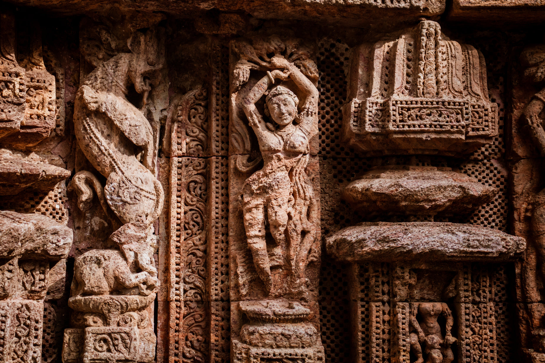 carvings adorning the wall of a temple in india