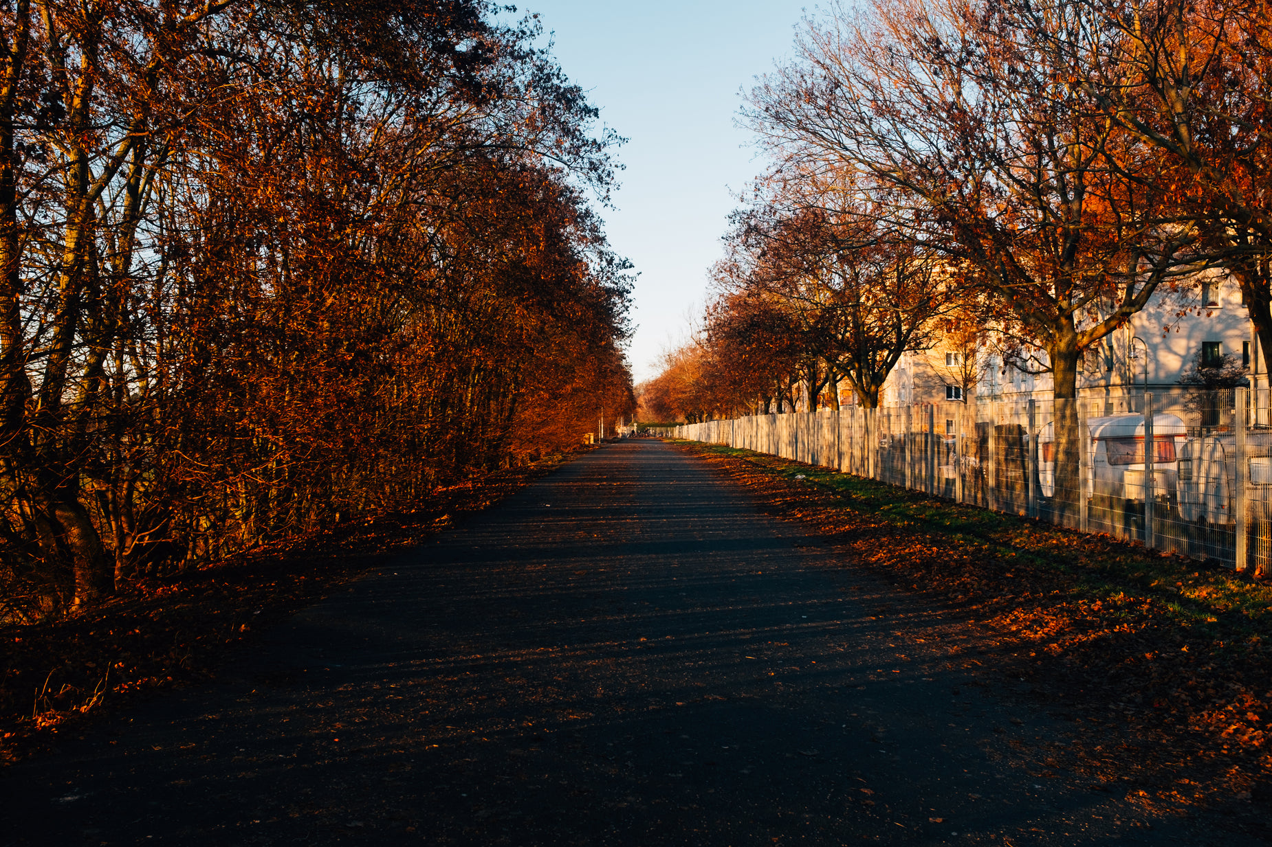 a tree lined road with a small wall with tombstones