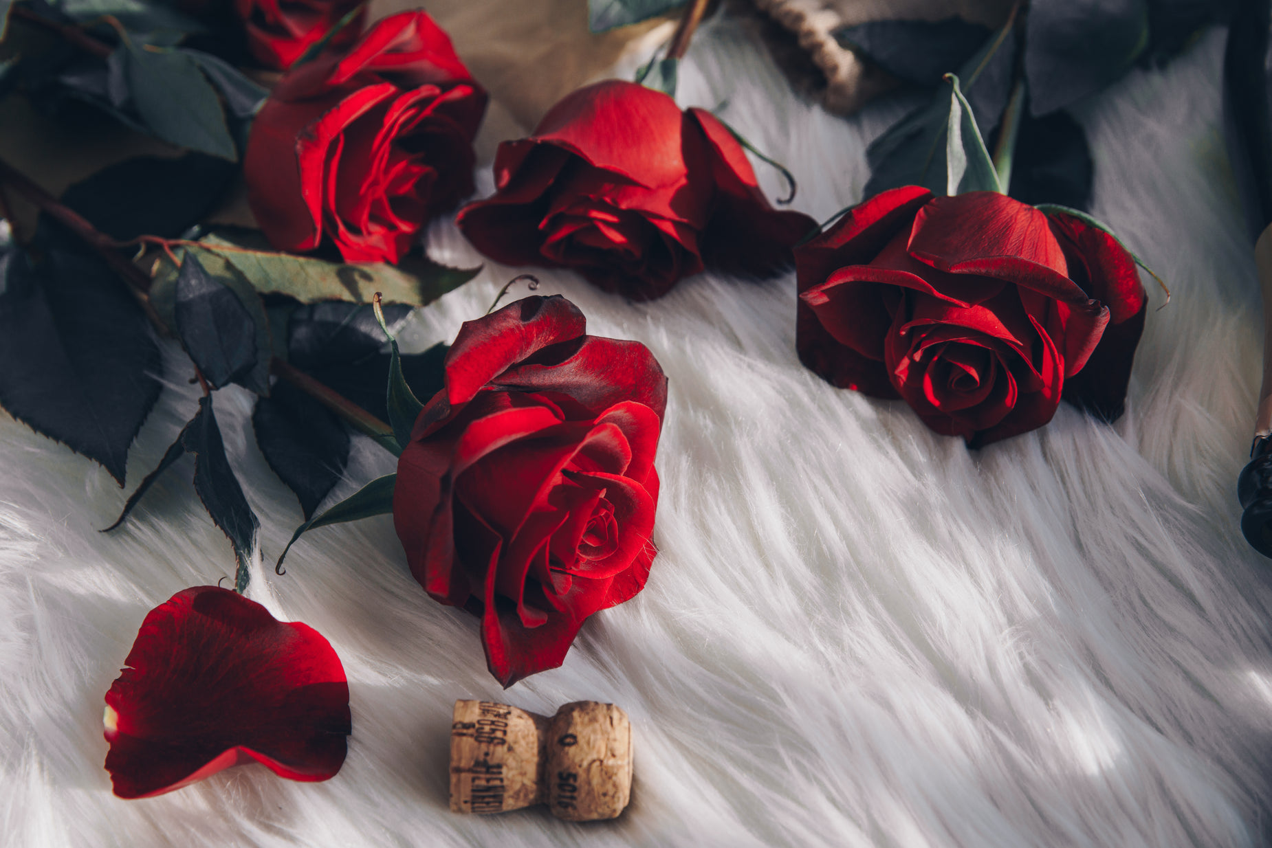 red roses laying on a white fur and corks