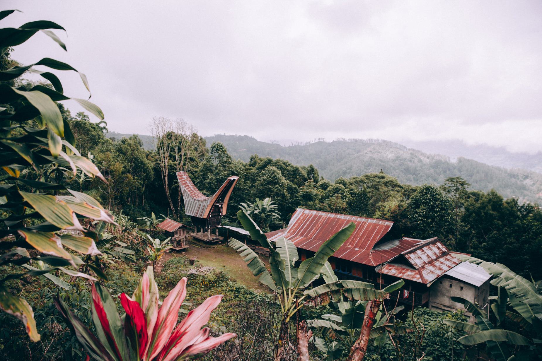 houses in the jungle near mountains on a cloudy day