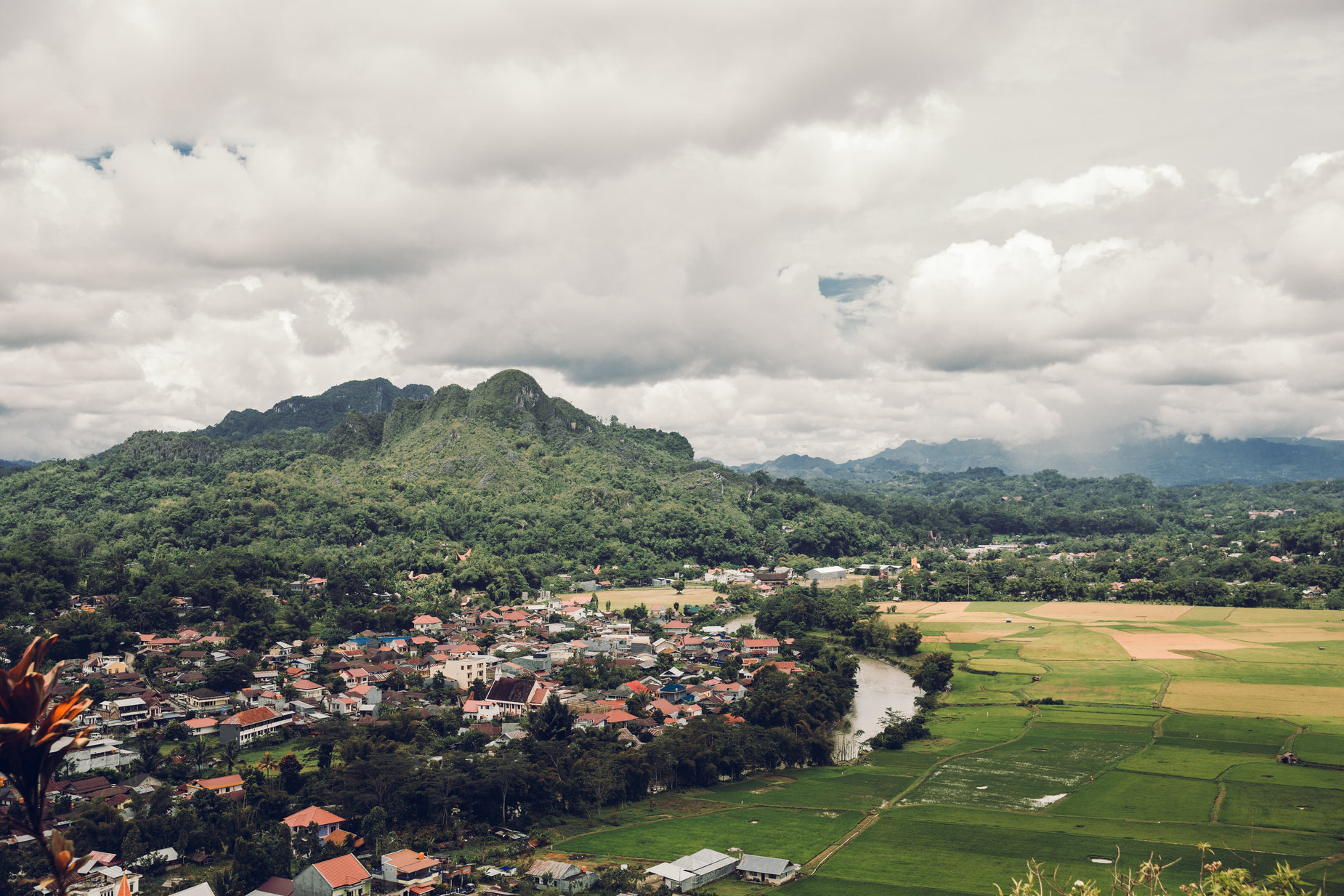 the countryside has a river and green trees in the background