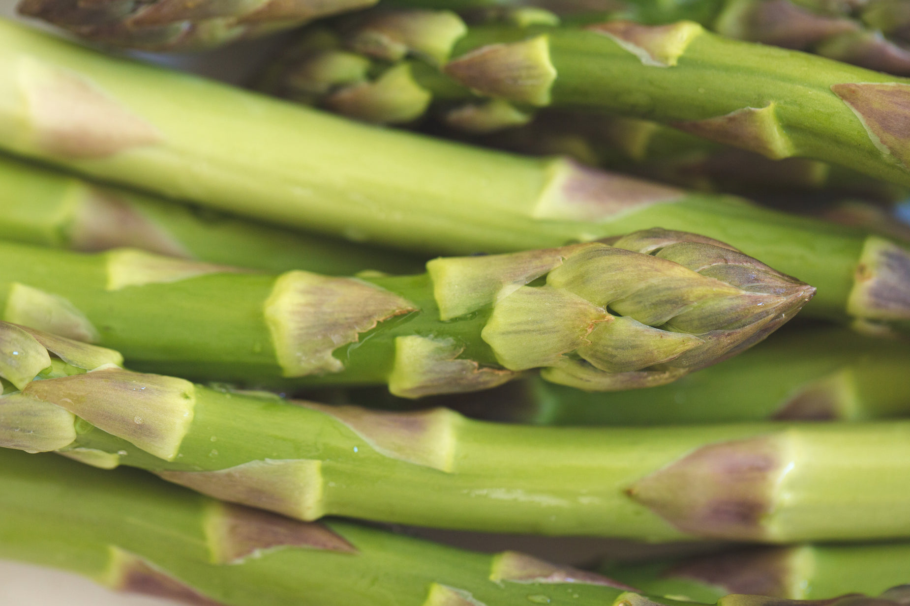 some green asparagus stalks with brown tips