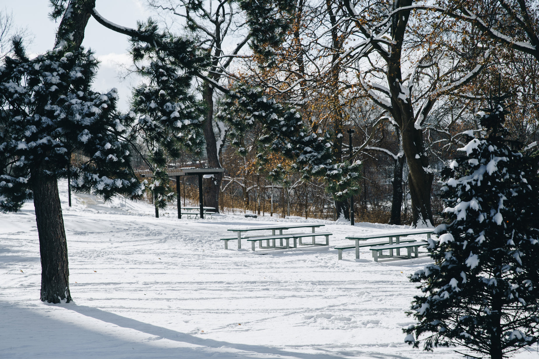 a snow covered park with benches and trees