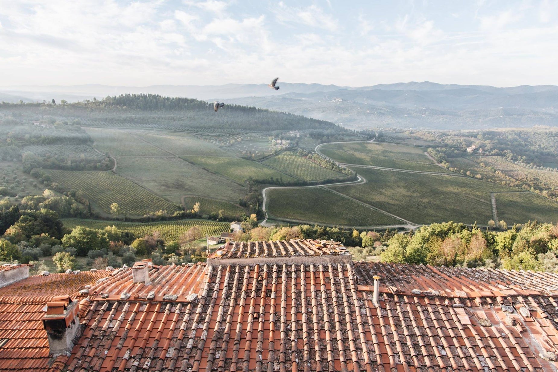 a bird flying above an old, dirty tiled roof