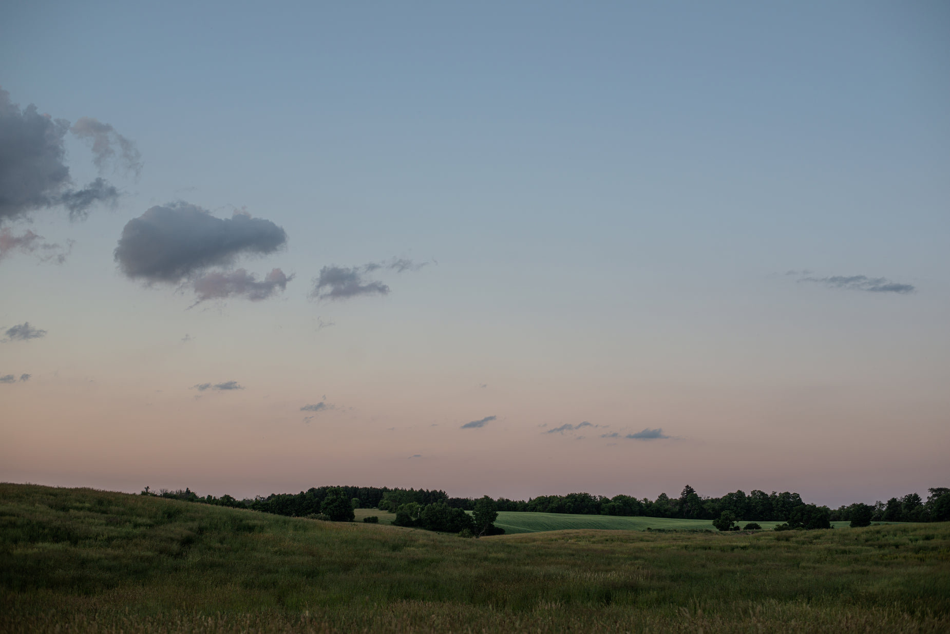 a view from a field of grass with trees in the distance