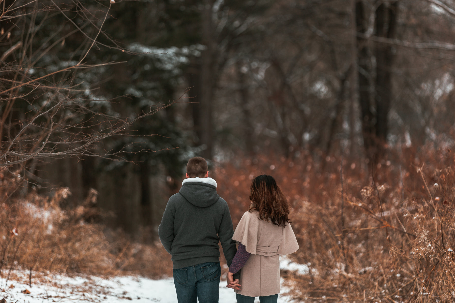 a couple in the woods are holding hands