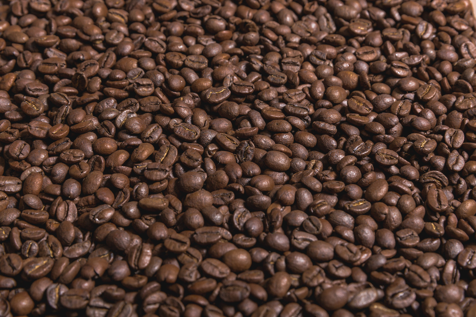 a large amount of roasted coffee beans