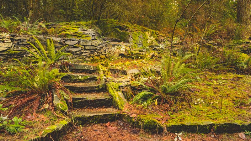some stairs going up a mossy hillside