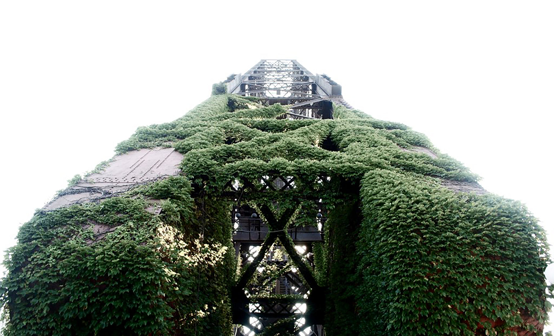 a tall building covered in vines next to the ocean