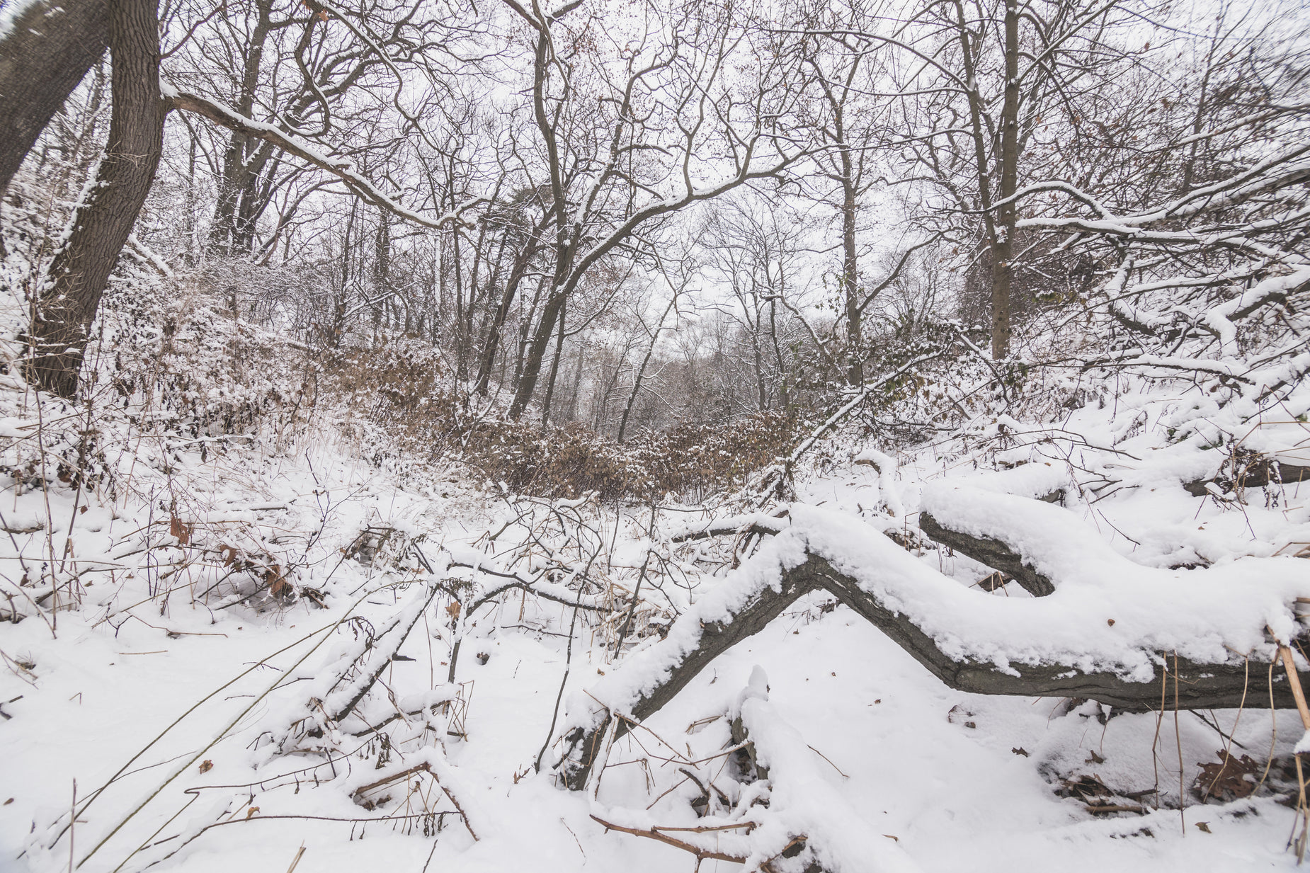 an old fence covered in snow in the woods