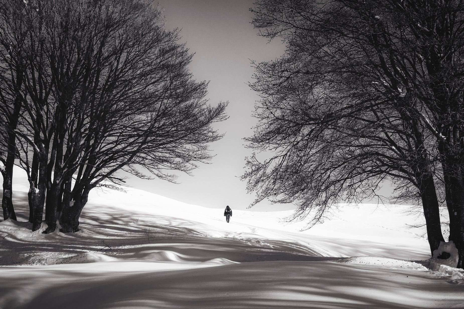 a person walks through the snowy woods in front of some trees