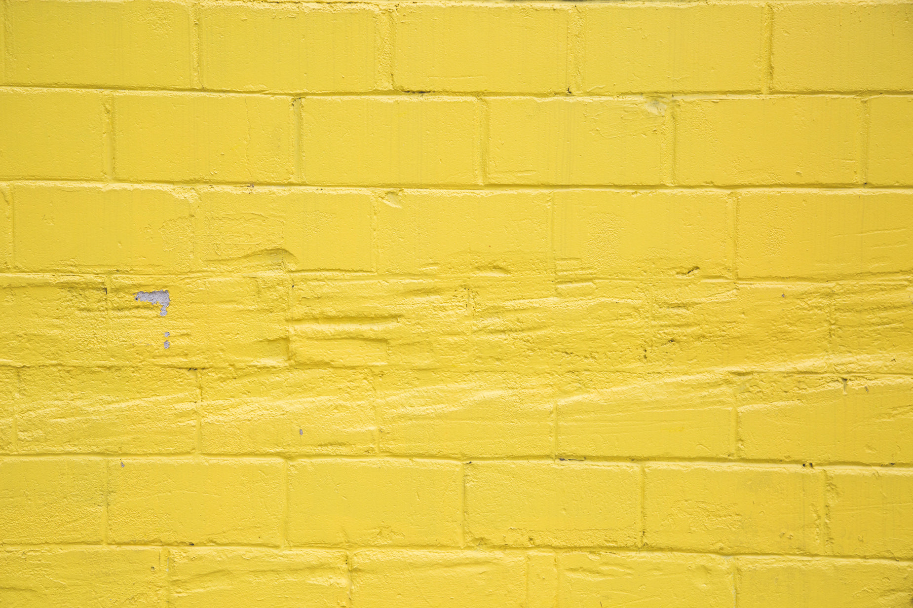 the yellow wall has a bird on it