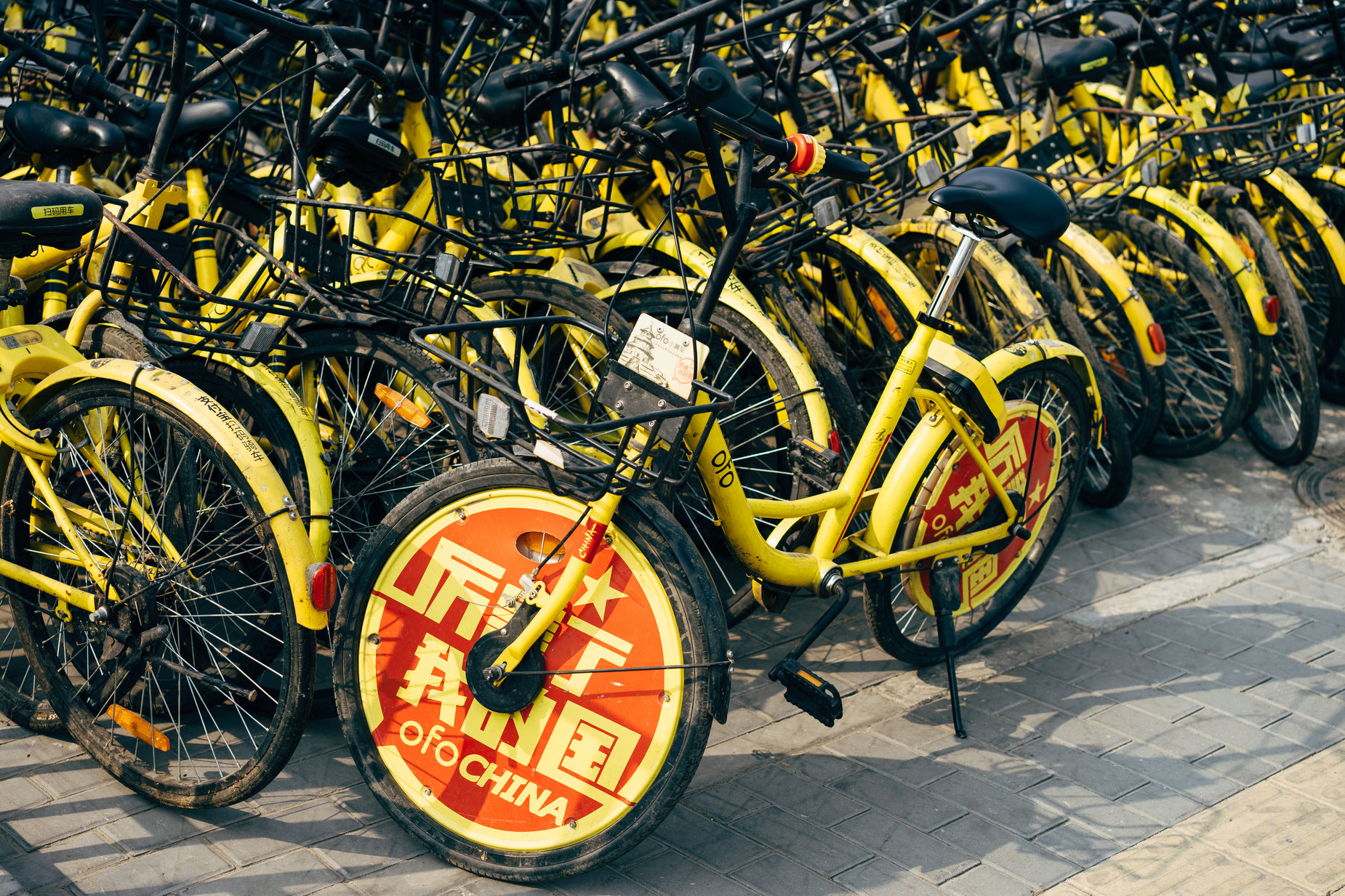 a long row of parked yellow bicycles near each other