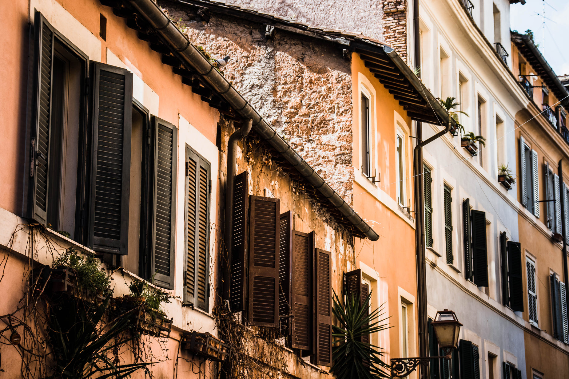 an old building with window shutters and some plants