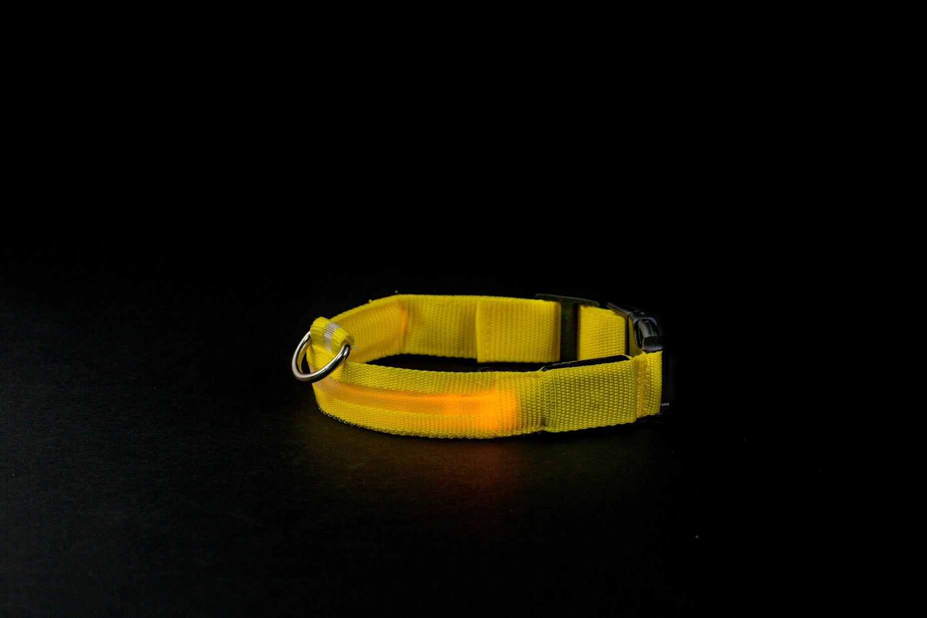 an image of a collar on the ground