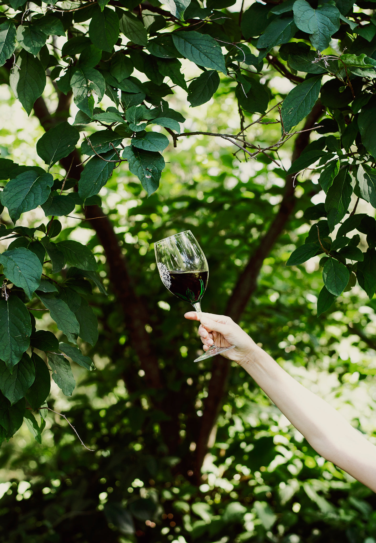 a hand holds two glasses of wine in front of a tree