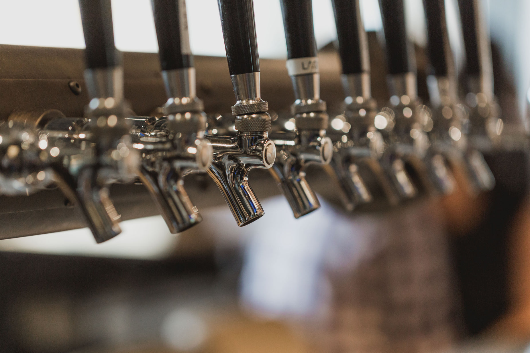 a line of wine bottles is hanging from the wall