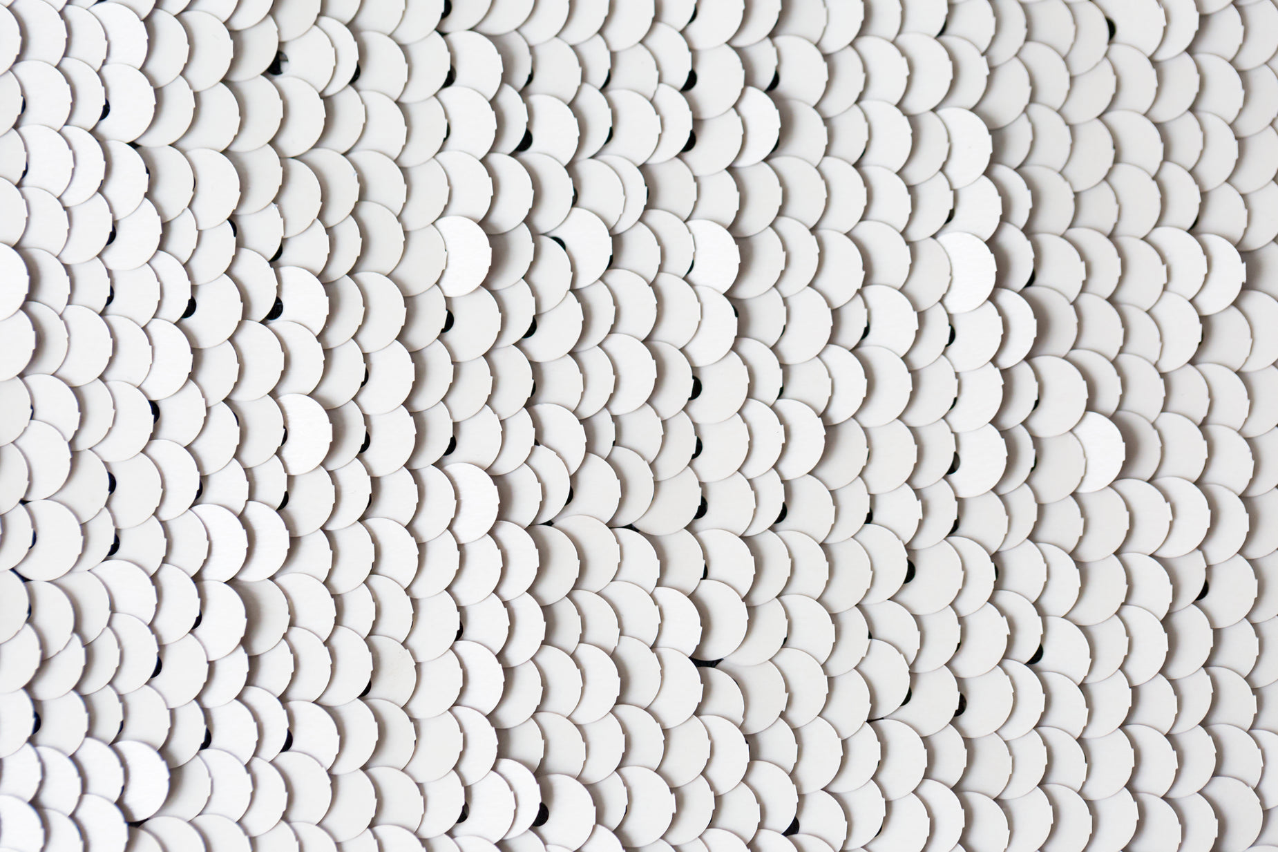 a white paper wall with circles of various sizes