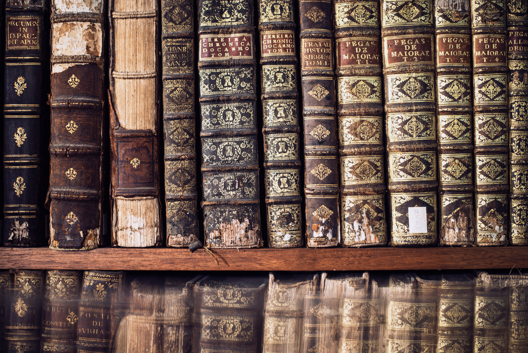 old books line up along a row of wooden shelves