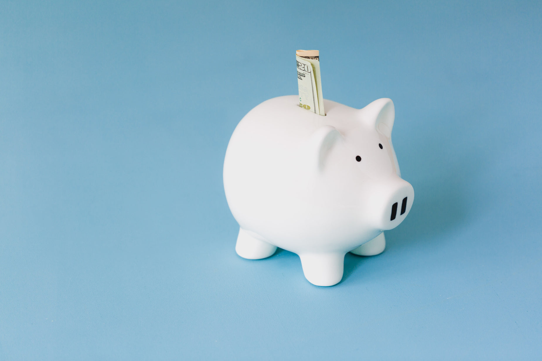 a small white piggy bank with a couple of small bills sticking out of its nose