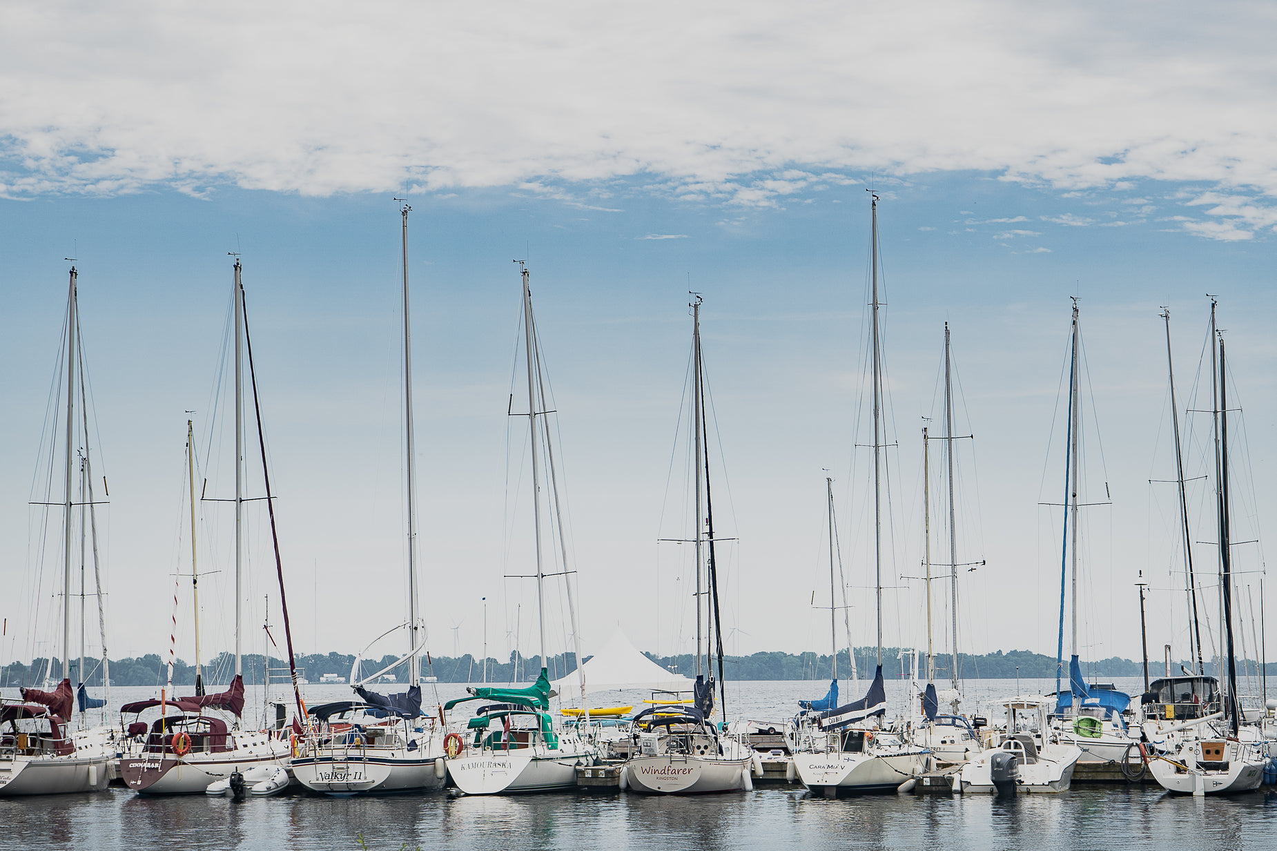 the large group of sailboats are docked and lined up