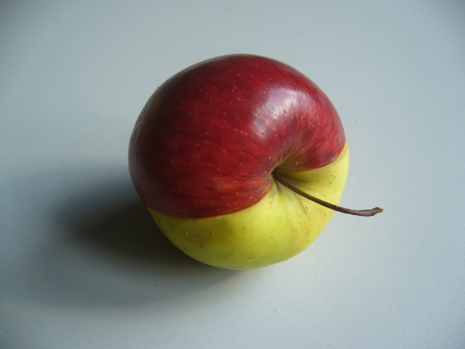 an apple with a yellow center and some brown spots