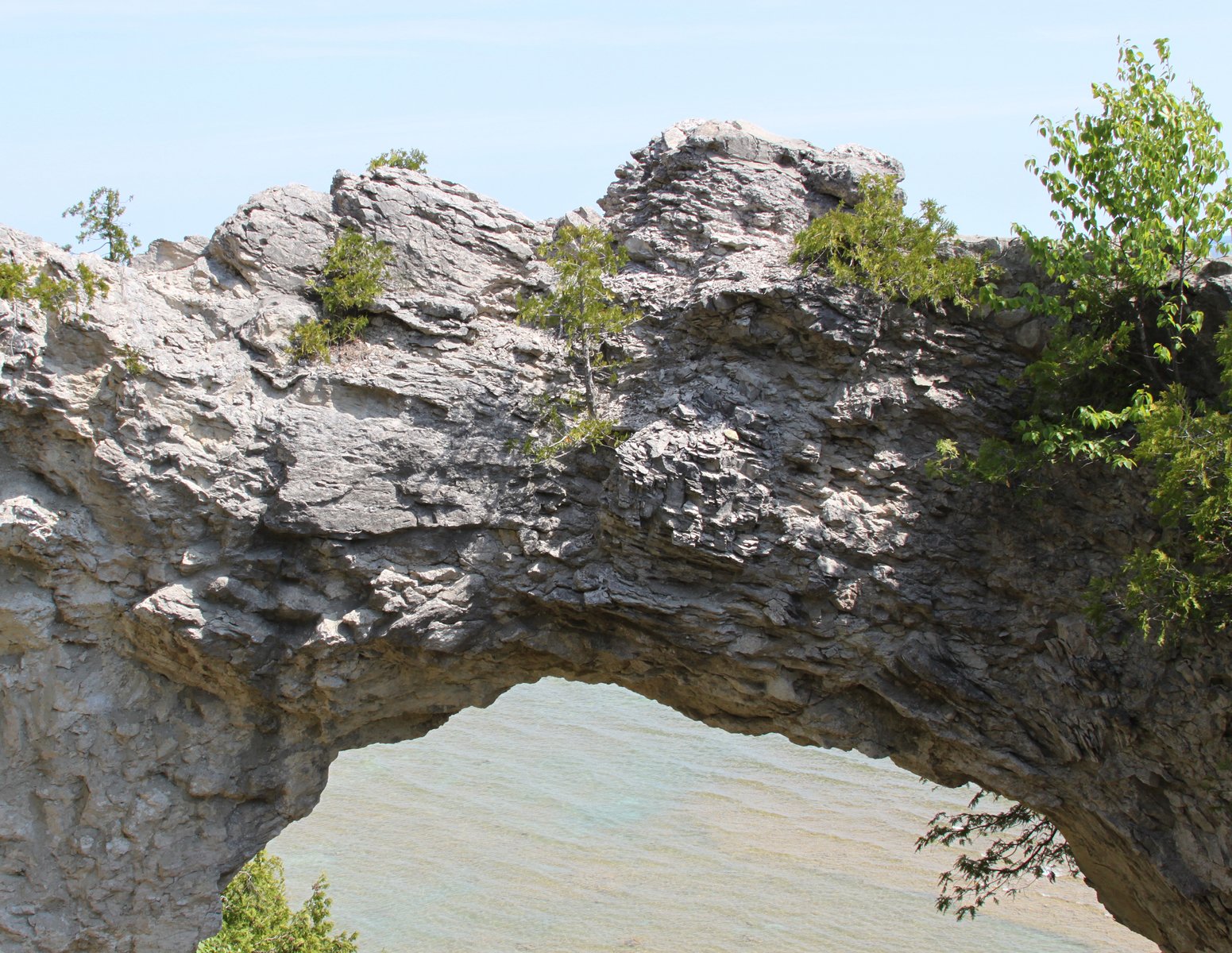 a rock arch has green trees growing from it