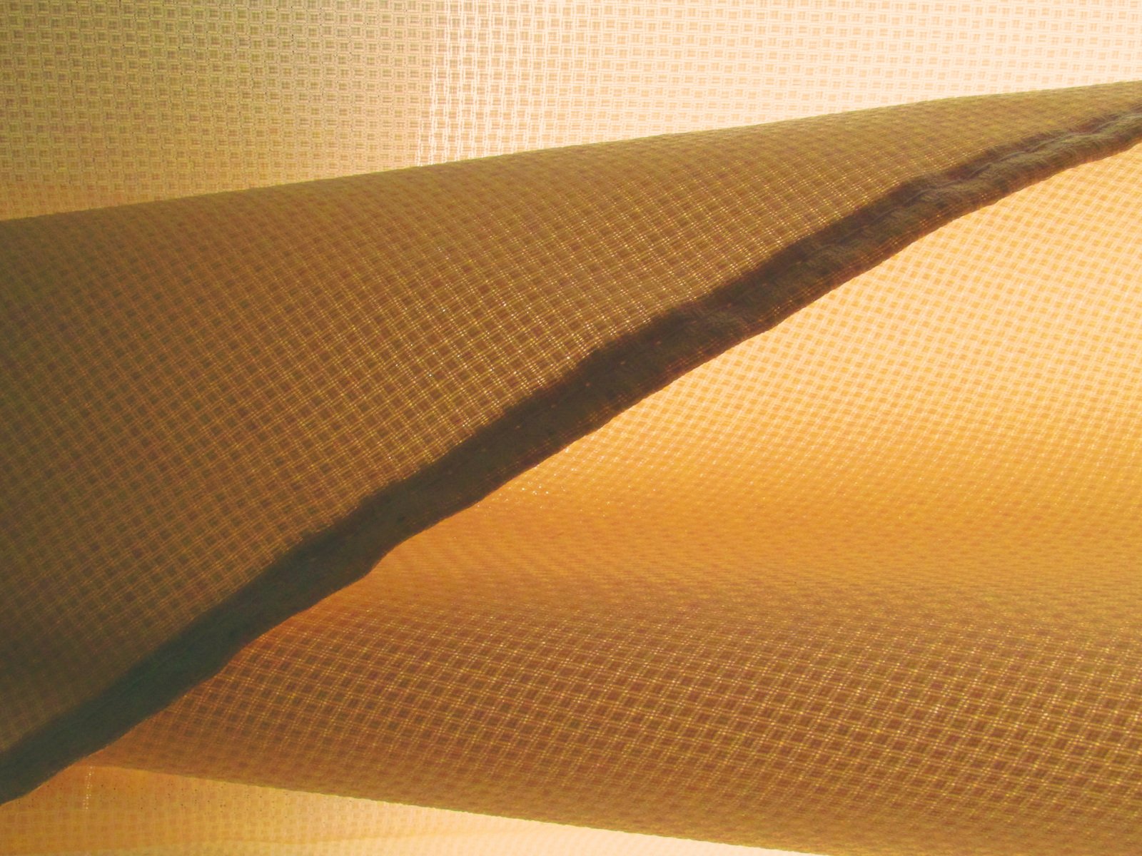 a curved wall and sheered fabric in sunlight