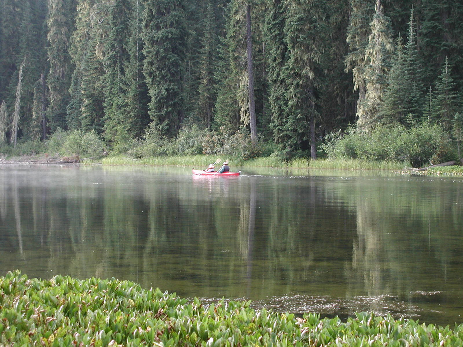 a person in a red canoe in the middle of a lake surrounded by trees