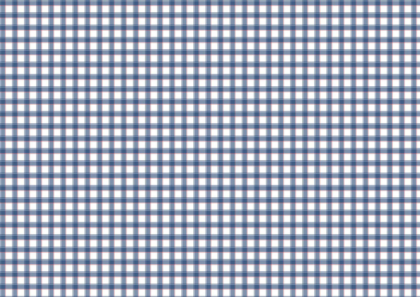 a blue and white checked texture of fabric