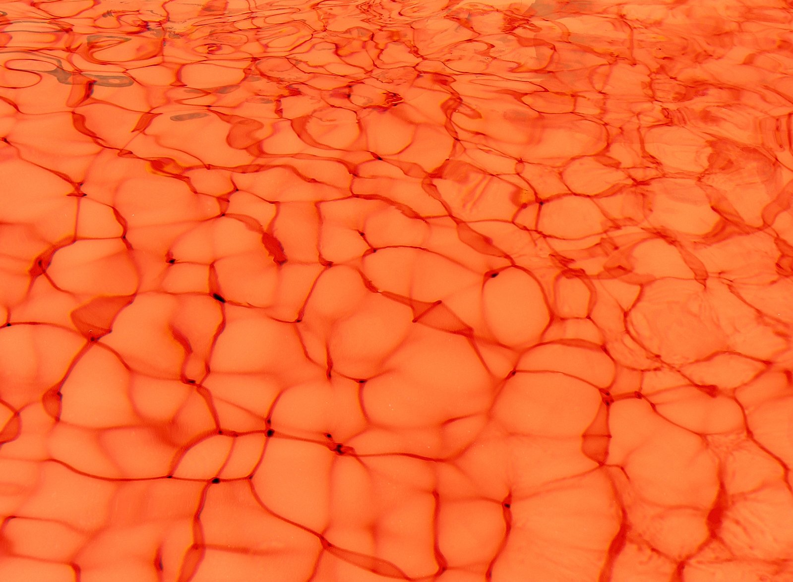 the surface of an abstract, orange and black pattern