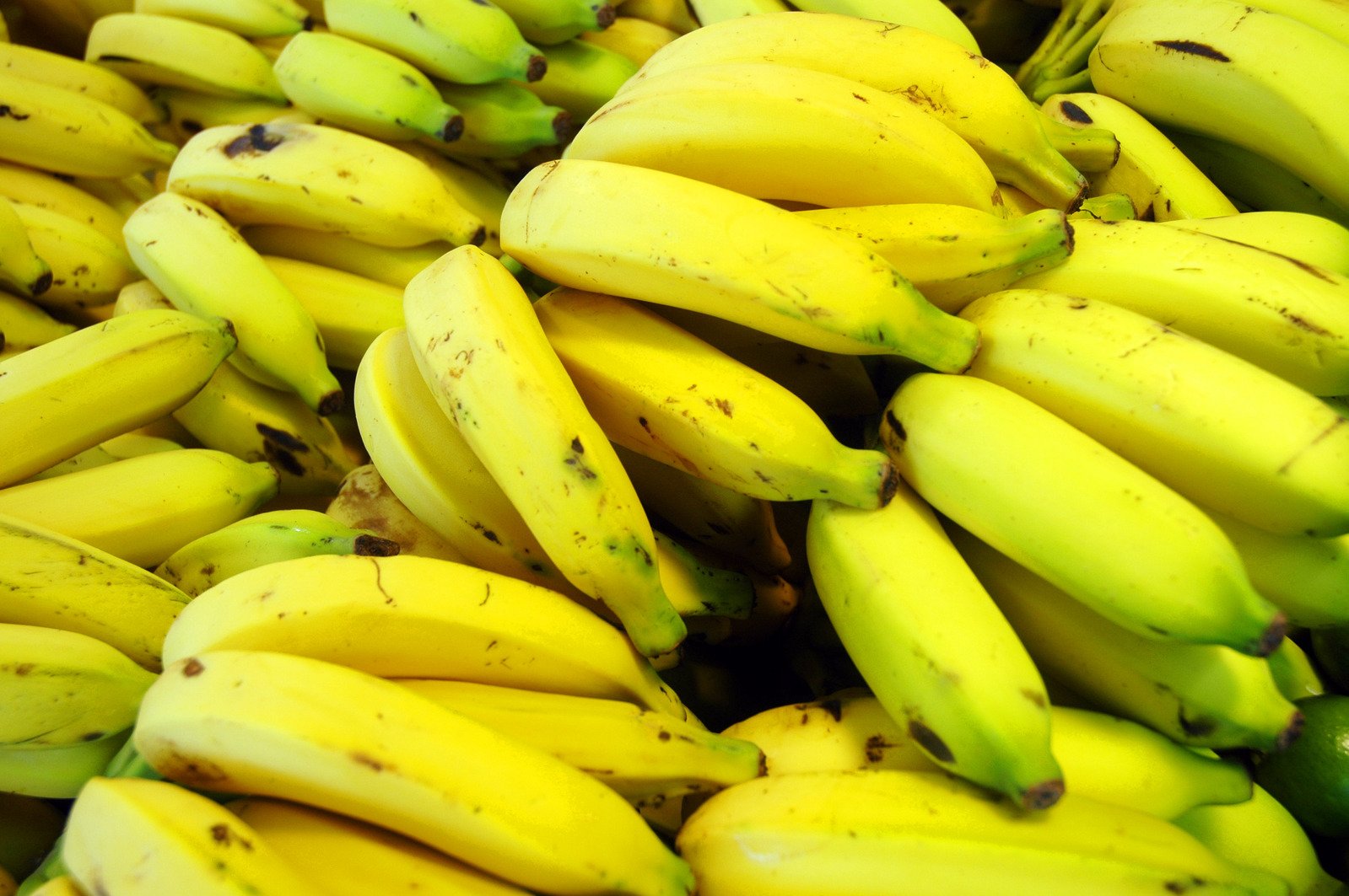 a group of bananas with some brown spots on them